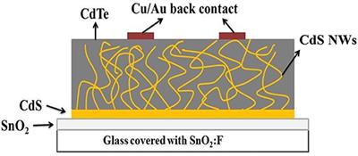 Bi Catalyzed CdS Nanowires With Temperature-Dependent Morphologies for Potential Applications in Solar Cells